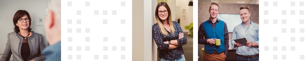 intex Software Consulting & Vertrieb Stellenanzeige